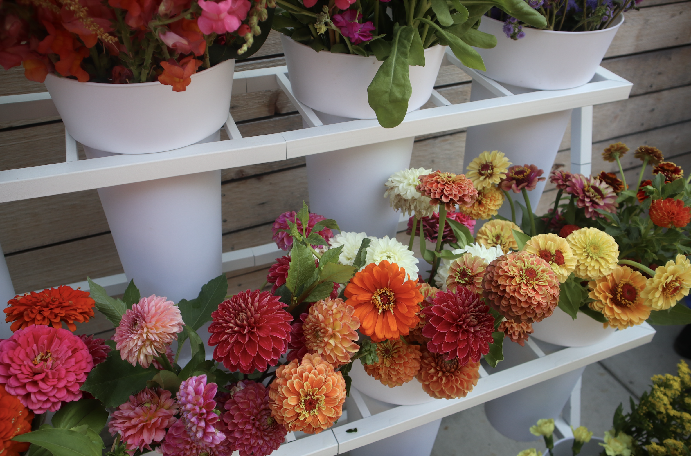 Bouquet Bar Experience